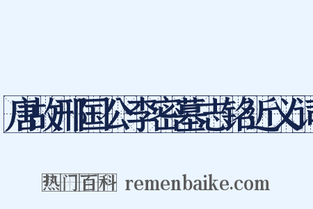 唐故邢国公李密墓志铭近义词是什么意思的图片